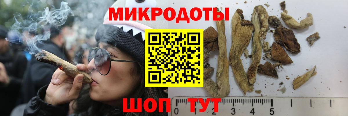 Сосновоборск  Галлюциногенные грибы Psilocybe  Вход с VPN 